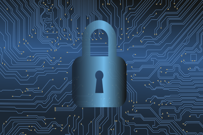 security awareness training