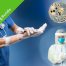 hand infection control